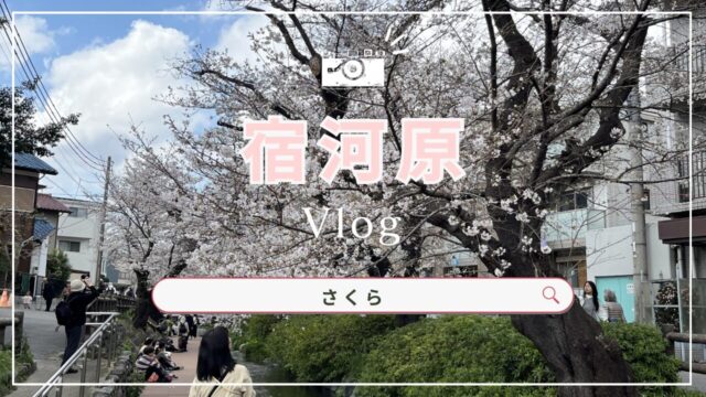 二ヶ領用水宿河原桜並木